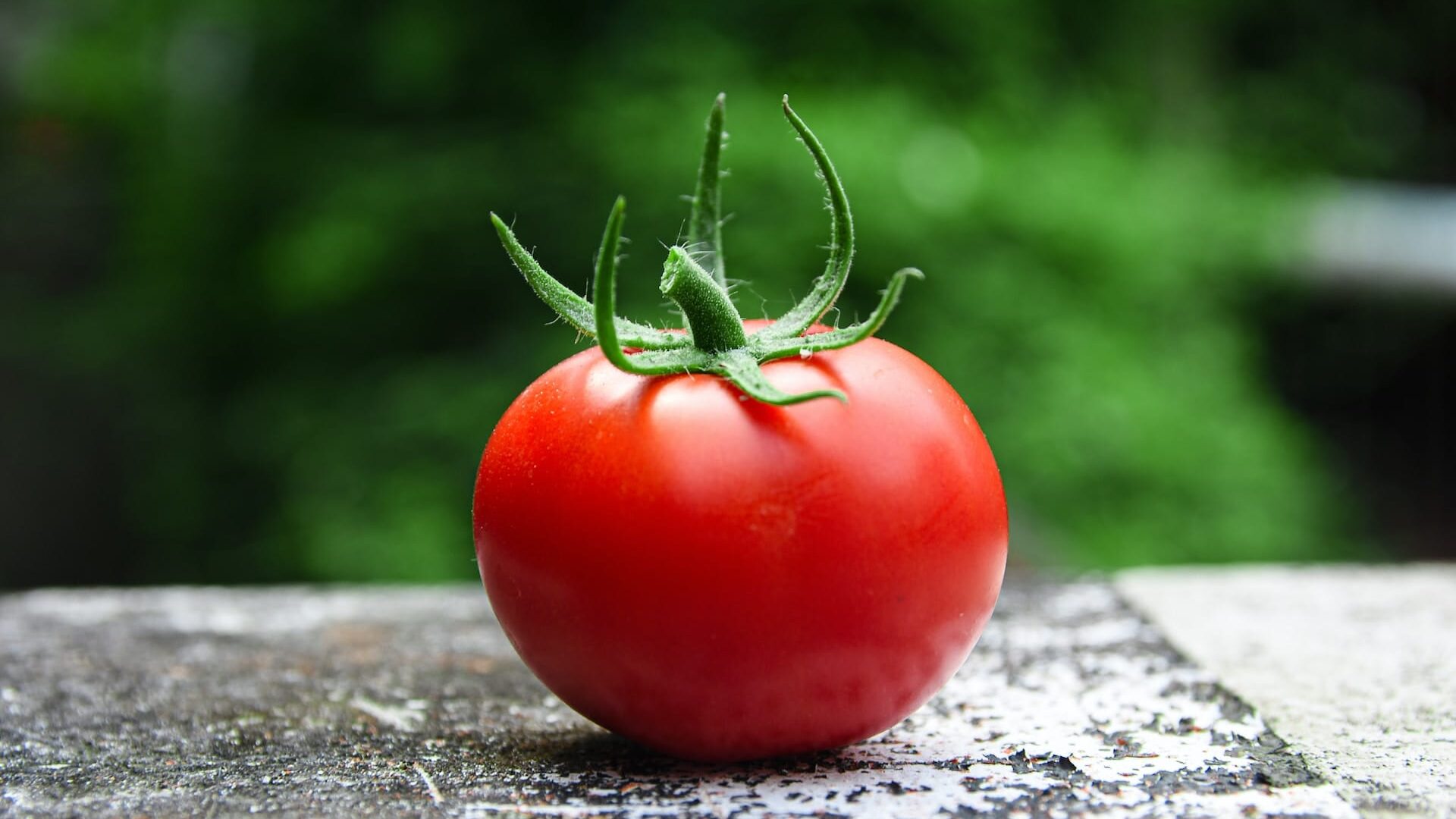 Oily skin care - tomato
